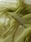 Olive Crystal Organza Fabric by the Yard, 60" Wide Sheer Lightweight Organza for Wedding Dresses, Event Decor, Curtains & Sewing